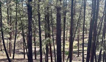 782 Hawks Meadow Dr, Bayfield, CO 81122