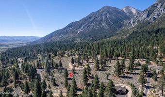 880 Stutler Creek Ct, Gardnerville, NV 89460