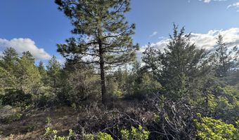 Lot 14 Grizzly Lane, Bonanza, OR 97623