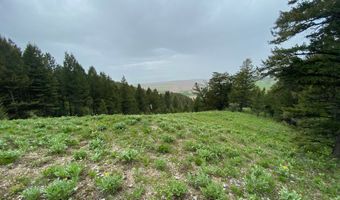 400 GROVER DRY FARM, Afton, WY 83110