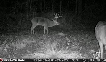 2233 Holloman Rd, Bentonia, MS 39040