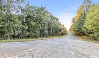 Parcel 10 Old Montpelier Rd, West Point, MS 39741