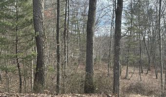 Rt. 1 Muddy Creek Mountain lot 1 & 2, Alderson, WV 24910