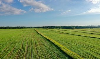 TBD Hwy 14, Allison, IA 50602