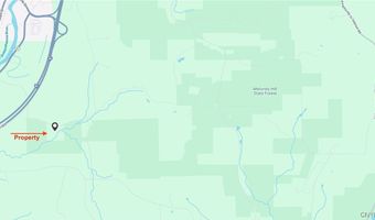 360 Ives Hill Rd, Afton, NY 13730