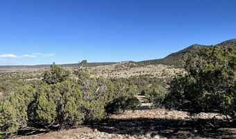006 N8604, Concho, AZ 85924
