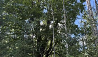 50 Acres Herron Rd, Alpena, MI 49707