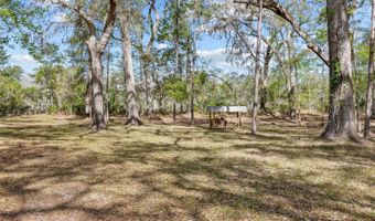 4250 NW 81ST Ln, Bell, FL 32619