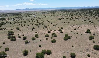 Tbd Windsor Valley Ranch Lot 87, Concho, AZ 85924