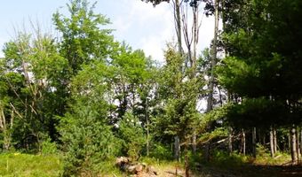 S Forest Lake, Alger, MI 48610