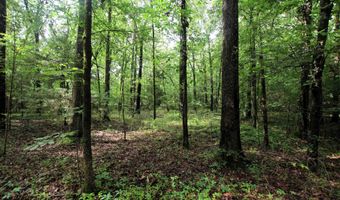 000 AVE 5 SW St, Atkins, AR 72823