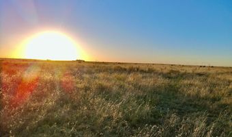 State Highway 214, Adrian, TX 79001