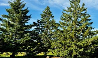 2441 Highland Trl SW, Alexandria, MN 56308