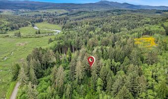Ziak-Gnat Creek Ln, Astoria, OR 97103