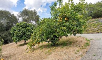 2557 Live Oak Park Rd, Fallbrook, CA 92028