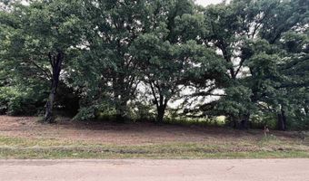 LOT 5 CR 1560, Alba, TX 75410