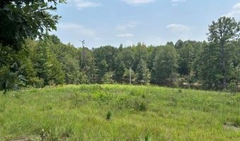 4 SOCIETY HILL Rd, Auburn, AL 36830