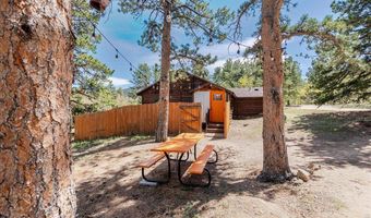 104 County Road 90, Allenspark, CO 80510