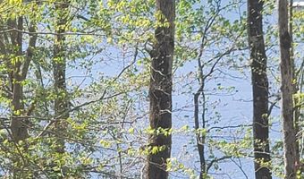 458 CO RD 4036, Arley, AL 35541