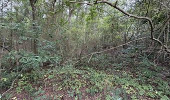 77 ACRE Leary N Rd, Ashburn, GA 31714