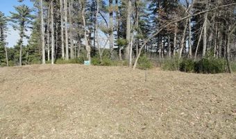 Lot 16 Fly Rod Trail, Wisconsin Rapids, WI 54494