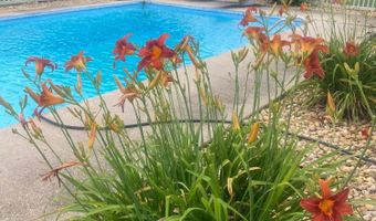 1318 COUNTY ROAD 1037, Addison, AL 35540