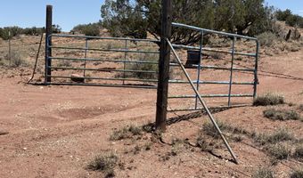 156 N9046, Concho, AZ 85924