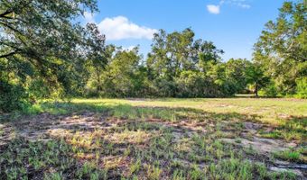 42012 STATE ROAD 19, Altoona, FL 32702