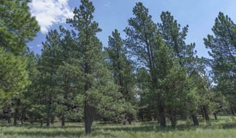 9 Buckskin Rd, Angel Fire, NM 87710