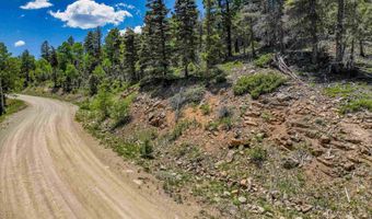 Lot 148 Brazos Dr, Angel Fire, NM 87710