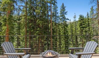 301 Quandary Rd, Breckenridge, CO 80424
