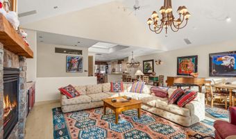 990 E Hopkins Ave, Aspen, CO 81611