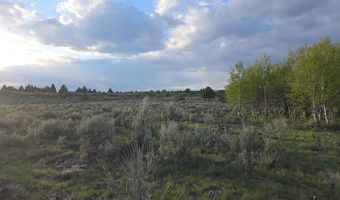 TBD 40 AC Arcadia Road, Ashton, ID 83440