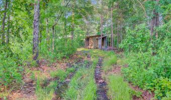 133 Trailwood Cir, Bamberg, SC 29003