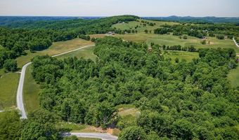 278 Pleasant Hill Rd, Allons, TN 38541