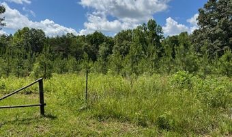 Mini Ball Lane, Appomattox, VA 24522