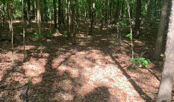 7700 Poole TRACT A, Alto, GA 30510