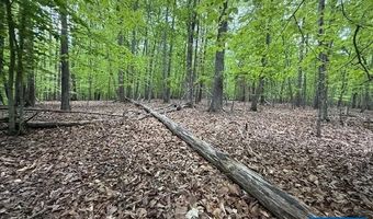 3220 SPOTSWOOD Trl Lot 5, Barboursville, VA 22923
