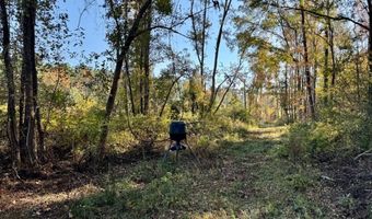 TBD Binnicker Bridge Road, Bamberg, SC 29003