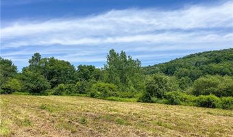 0 Woodland Hills Rd, Andes, NY 13731