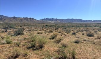 Palo Verde Drive, Chloride, AZ 86431