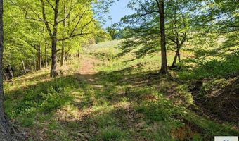1619 Squirrel Creek Rd, Ararat, VA 24053