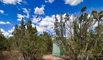 Tbd County Rd N8157, Concho, AZ 85924
