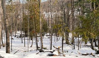 0 Duck Pond Rd, Barton, VT 05822