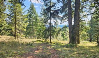 BOLTON HILL RD S, Veneta, OR 97487