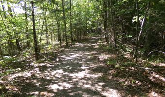 V/L 30AC Lake Winyah Road, Alpena, MI 49707