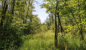 Tbd 359th Ln, Aitkin, MN 55760