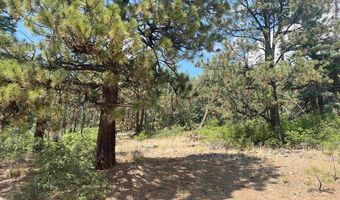 17 Snow Way Dr, Bayfield, CO 81122