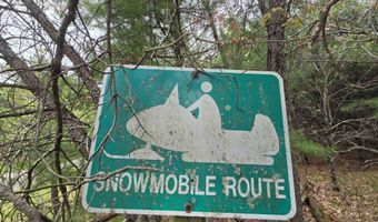 S Badger Lane lot 39, Arkdale, WI 54613