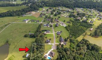 Lot 12 Mitchem Lane, Albertville, AL 35951